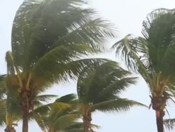 Tropical Storm approaching Stock Footage