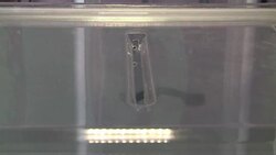 Crimea prepares for referendum on Russian rule News Clip