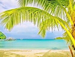 Luxury beach Stock Footage