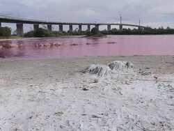 WS View of bright red algal bloom near Westgate Bridge, Yarra River / Melbourne, Victoria, Australia Stock Footage