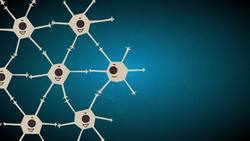 TED-Ed: Could your brain repair itself? - Ralitsa Petrova Instructional Video