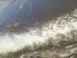 HD SUPER SLOW-MO: Boat Wake - The Everglades Stock Footage