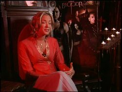 'Bloodrayne' Junket Stock Footage