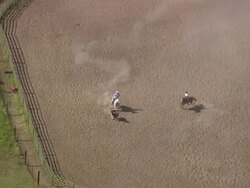 MS AERIAL TS Cowboys catching bull / Montana, United States Stock Footage