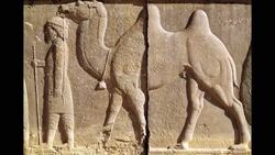 Unknown Artists, Treasures of the Achaemenid Empire no2 Stock Footage