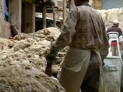 MS, Man working at tannery, Fez, Morocco Stock Footage