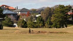 CLEAN: Demonstrators out to deter Australia's kang News Clip