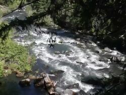 Oregon Mountain River Stock Footage