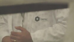 CLEAN : Virus resistant mosquitoes unleashed in Brazil News Clip