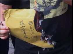 12th anniversary of Hong Kong  handover, pro-democracy march News Clip