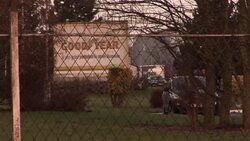 CLEAN : Goodyear unveils plan News Clip