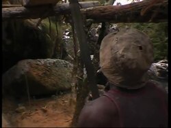 National tree of Malawi under threat of extinction News Clip