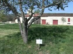 CLEAN:Monks enter digital age to extend ancient home News Clip