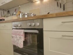 Preparing Holiday Goose Stock Footage