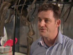 Diplodocus skeleton 'Misty' sold at auction News Clip