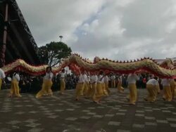 Long shot of Chinese dragon dancers performing Stock Footage