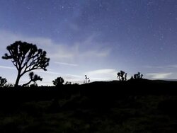 MS TU T/L Night sky over desert landscape / Joshua Tree National Park, CA, United States  Stock Footage