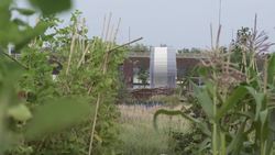 TED: A smog vacuum cleaner and other magical city designs | Daan Roosegaarde Instructional Video