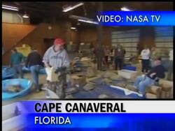 Scientists rescue turtles from cold at Kennedy Space Center News Clip