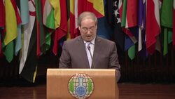 OPCW meeting, Syria's vice FM says his government did not use chemical weapons News Clip