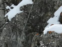 Pan down from father to son scaling cliff, offers assistance Stock Footage