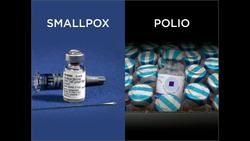 Bruce Aylward: How we'll stop polio for good Instructional Video