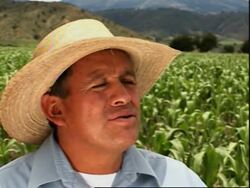 Mexico profits from demand for biofuel News Clip