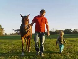 HD STEADY: Father And Son Walking A Horse Stock Footage