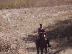 Medium long lens, Karen gallops horse towards camera Stock Footage