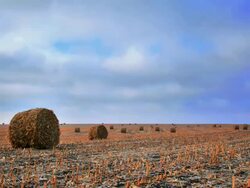 T/L Bales of hay. Time lapse. 1080P Stock Footage