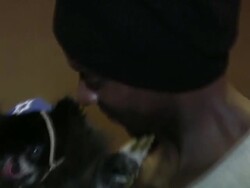 Evanger's Presents 'Passover Seder For Dogs' Hosted By Dog News Daily Stock Footage