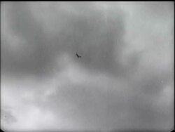 METEOR SETS NEW RECORD News Clip