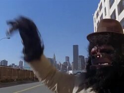 Gorilla hailing cab on street with view of Manhattan skyline in background / Long Island City, Queens, New York City Stock Footage