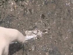 Close up of taking glacier samples, Himalayas Stock Footage