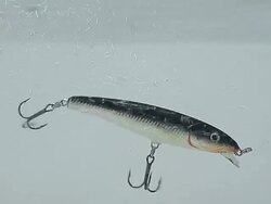 swimming wobbler Stock Footage