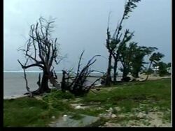 Preps as Hurricane Wilma, grows into most intense Atlantic News Clip