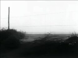 B/W 1936 wind + dust blowing past barbed wire fence in storm / Dust Bowl / USA Stock Footage