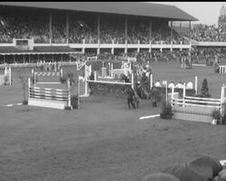 DUBLIN HORSE SHOW News Clip