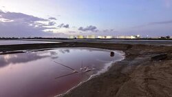 Nature and the Environment Stock Footage