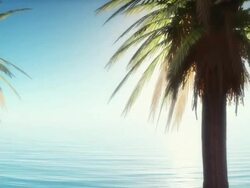 Tropical paradise Stock Footage