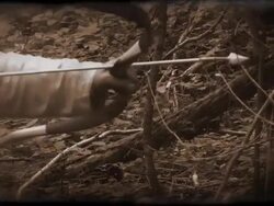 hunter with bow Stock Footage