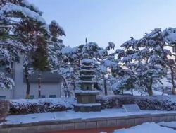 Snow scene of Dongsariseoktap(Stone Pagoda, Chungcheongnam-do Cultural Assets Data 121) at Buyeo National Museum Stock Footage