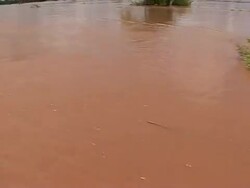 Saving Cambodia's dolphins News Clip