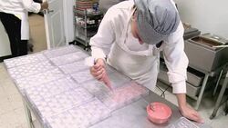 VOICED : A taste of Venezuelan chocolate News Clip