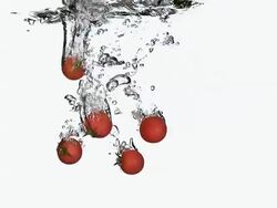 MS SLO MO Cherry tomatoes entering into water against white background / Vieux Pont, Normandy, France  Stock Footage