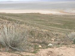 Salt Lake 018 720p24 Stock Footage