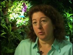 Hot house butterflies hit chilly New York News Clip