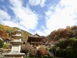 MS TD Shot of Buseoka Temple in summer / Yeongju, Gyeongsangbuk-do, South Korea Stock Footage