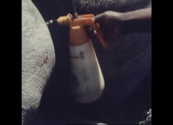 RR8051B SOUTHERN AFRICA WILDLIFE Instructional Video