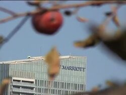 Decline of apple forests threatens cultivated wild strains News Clip